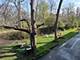 485 Duane Unit B4, Glen Ellyn, IL 60137