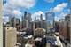 1 E Scott Unit 2004, Chicago, IL 60610