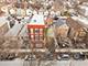 3651 S Wood, Chicago, IL 60609