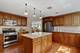 1010 S Summit, Barrington, IL 60010