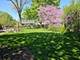 4 Athens, Vernon Hills, IL 60061