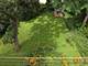 206 N Bonnie Brae, Elmhurst, IL 60126
