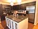 3850 W Bryn Mawr Unit 301, Chicago, IL 60659