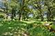 515 Aberdeen, Frankfort, IL 60423
