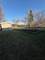 10631 S Lori, Palos Hills, IL 60465