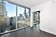 60 E Randolph Unit PH24B, Chicago, IL 60601