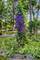 912 Morningside, Lake Forest, IL 60045