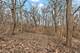 Vacant S High, Lockport, IL 60441