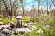 842 N Bennett, Geneva, IL 60134