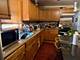 3033 S Kenneth, Chicago, IL 60623