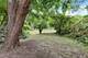 320 Streamside, Harvey, IL 60426