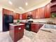132 Dawson, Elgin, IL 60120