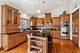 9215 Friar, Frankfort, IL 60423