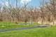 9215 Friar, Frankfort, IL 60423