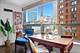 110 E Delaware Unit 1702, Chicago, IL 60611