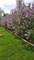 537 Erma, Lake Holiday, IL 60552
