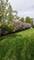 537 Erma, Lake Holiday, IL 60552