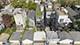 948 N Honore Unit 1, Chicago, IL 60622