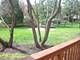 1000 Sheringham, Naperville, IL 60565