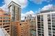 850 N Dewitt Unit 13E, Chicago, IL 60611