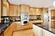317 N Cuyler, Oak Park, IL 60302