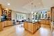 317 N Cuyler, Oak Park, IL 60302
