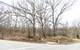 LOT 19 & LOT 18 Williams, Lake Marian, IL 60110