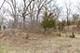 LOT 19 & LOT 18 Williams, Lake Marian, IL 60110