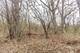 LOT 19 & LOT 18 Williams, Lake Marian, IL 60110