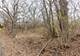 LOT 19 & LOT 18 Williams, Lake Marian, IL 60110