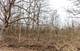LOT 19 & LOT 18 Williams, Lake Marian, IL 60110
