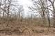 LOT 19 & LOT 18 Williams, Lake Marian, IL 60110