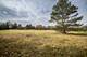 21601 W Hampshire, Mundelein, IL 60060