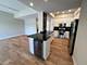 40 E Northwest Unit 202, Mount Prospect, IL 60056