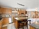 13124 W Beaver Lake, Homer Glen, IL 60491