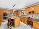 13124 W Beaver Lake, Homer Glen, IL 60491