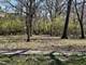 24863 W Sterling Oaks, Shorewood, IL 60404