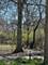 24863 W Sterling Oaks, Shorewood, IL 60404