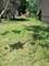 4110 W Van Buren, Chicago, IL 60624