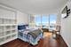 505 N Lake Shore Unit 2404, Chicago, IL 60611