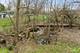 1005 Meadow, Elgin, IL 60123