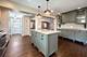 16 S Hi Lusi, Mount Prospect, IL 60056