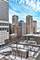 777 N Michigan Unit 1700, Chicago, IL 60611