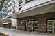 1313 N Ritchie Unit 1005, Chicago, IL 60610
