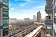 1305 S Michigan Unit 1209, Chicago, IL 60605