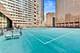 211 E Ohio Unit 508, Chicago, IL 60611