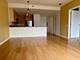 1515 S Prairie Unit 617, Chicago, IL 60605