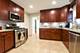 6455 N Oketo Unit 1, Chicago, IL 60631