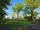 2N161 Fairfield, Lombard, IL 60148