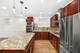 842 W Belle Plaine Unit GW, Chicago, IL 60613